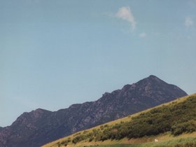 Img_0290.jpg