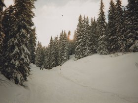 Img_0052.jpg