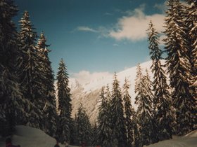 Img_0054.jpg