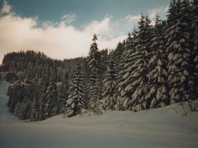 Img_0059.jpg