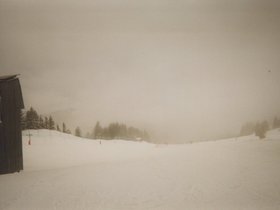 Img_0061.jpg