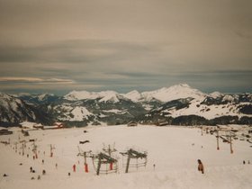 Img_0063.jpg