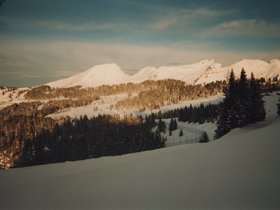 Img_0064.jpg