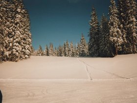 Img_0067.jpg