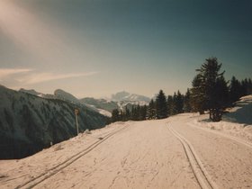 Img_0068.jpg