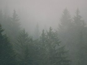 Img_0298.jpg