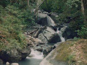 Img_0308.jpg