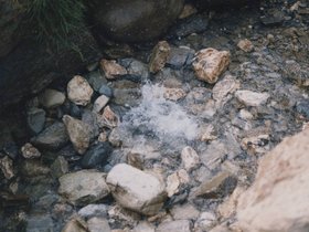 Img_0310.jpg
