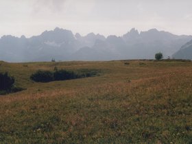 Img_0313.jpg