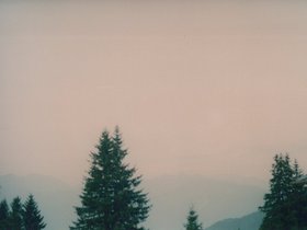Img_0314.jpg