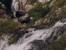Img_0315.jpg
