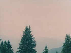 Img_0319.jpg