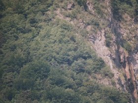 Img_0323.jpg
