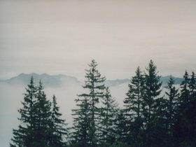 Img_0324.jpg