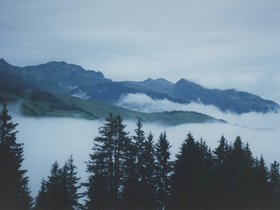 Img_0325.jpg