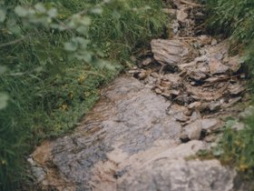 Img_0326.jpg