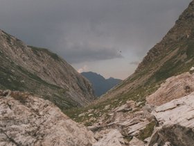 Img_0338.jpg