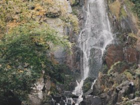Img_0004.jpg