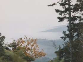 Img_0010.jpg