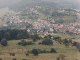 Img_0011.jpg