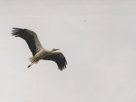 Img_0013.jpg