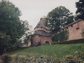 Img_0019.jpg