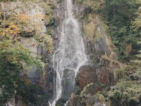 Img_0031.jpg