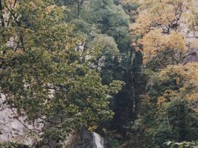 Img_0034.jpg