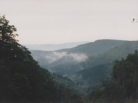 Img_0037.jpg