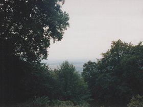 Img_0042.jpg