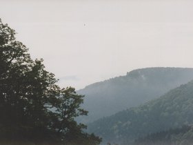Img_0043.jpg