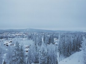 Img_0125.jpg