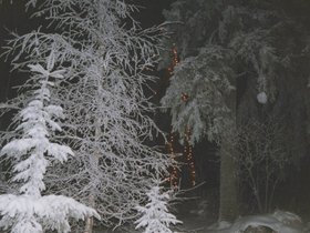 Img_0132.jpg