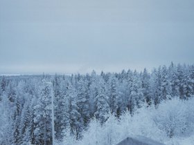Img_0136.jpg