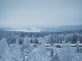 Img_0137.jpg