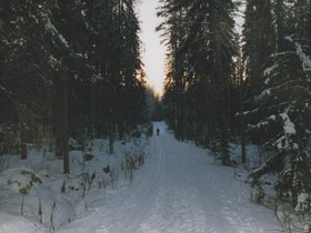 Img_0138.jpg