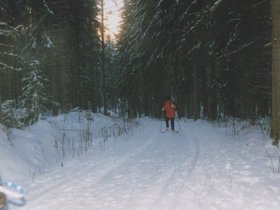Img_0139.jpg