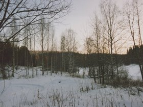 Img_0141.jpg