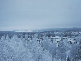 Img_0142.jpg