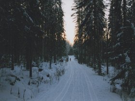 Img_0144.jpg