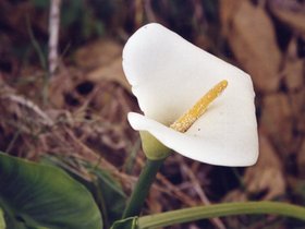 2005.10 - Réunion