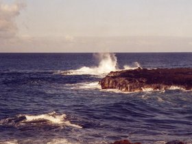 File0010.jpg