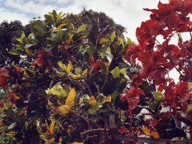 File0025.jpg