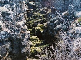 022-thingvellir-faille.jpg