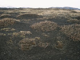 033-plaine_volcanique_de_hekla.jpg