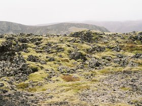 137-peninsule_des_reykjanes-champ_de_lave.jpg