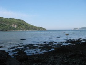 IMG_3943.JPG