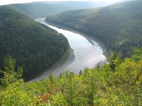 IMG_4029.JPG