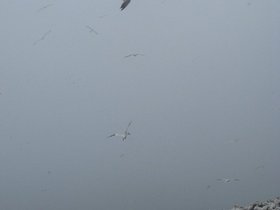 IMG_4120.JPG