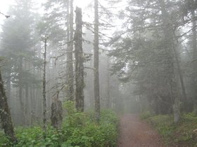 IMG_4123.JPG